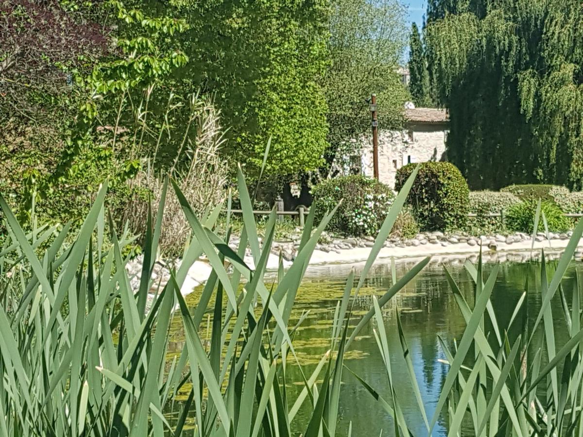 La Campagne St Lazare - Restaurant Chambres D'Hotes Piscine & Spa Forcalquier Bagian luar foto