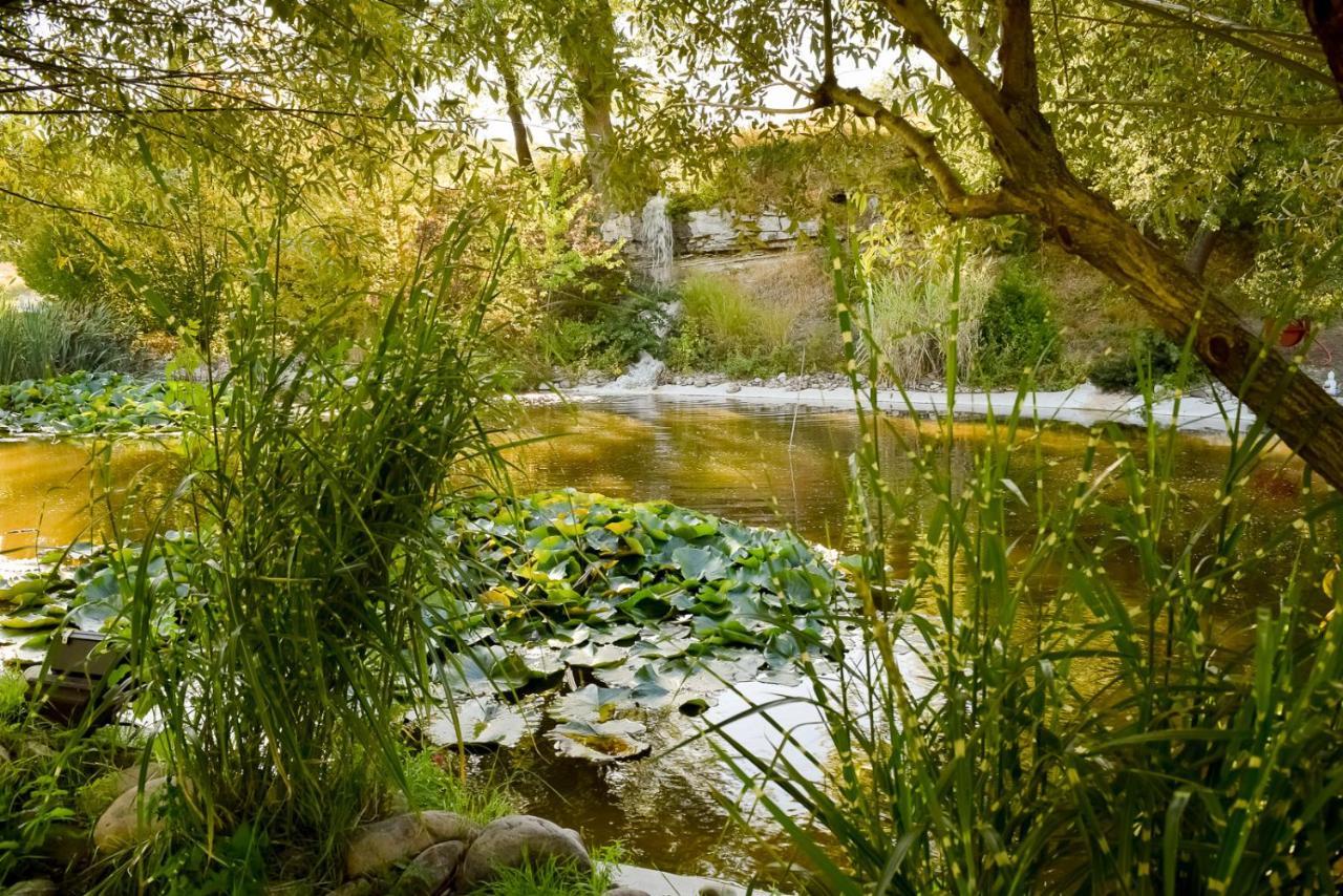La Campagne St Lazare - Restaurant Chambres D'Hotes Piscine & Spa Forcalquier Bagian luar foto