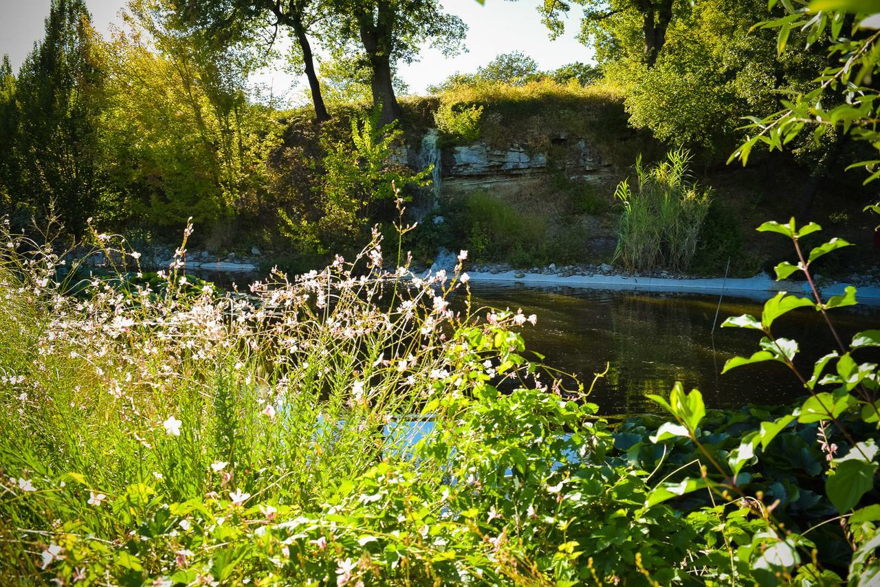 La Campagne St Lazare - Restaurant Chambres D'Hotes Piscine & Spa Forcalquier Bagian luar foto